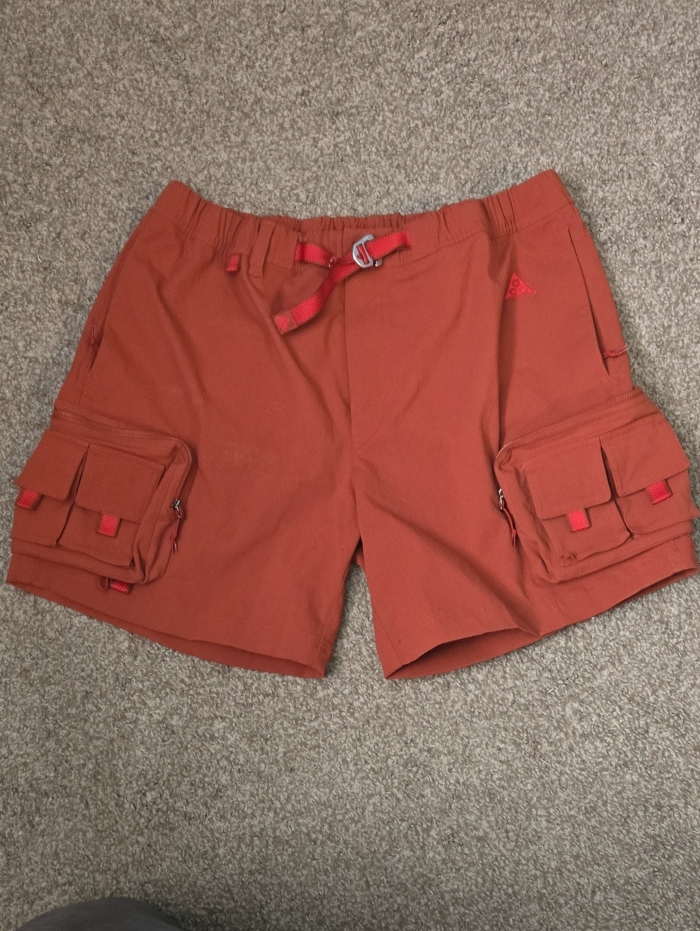 Nike ACG Cargo Shorts